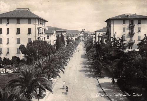 Cartolina Chiavari Viale delle Palme animata biciclette anni '50