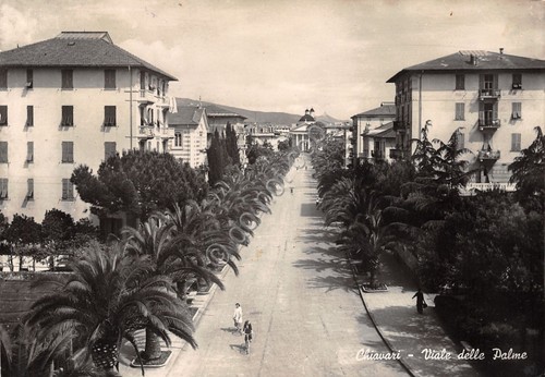 Cartolina Chiavari Viale delle Palme animata biciclette anni '50 (Genova)