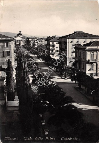 Cartolina Chiavari Viale delle Palme Cattedrale (Genova)