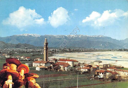 Cartolina Ciano del Montello panorama fiume Pieve Monte Grappa funghi …