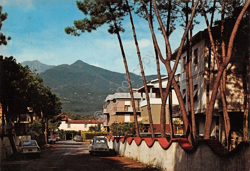 Cartolina Cinquale Via Cateratte 1983