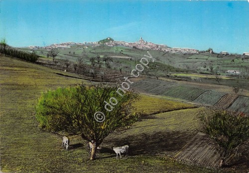 Cartolina Cocconato panorama