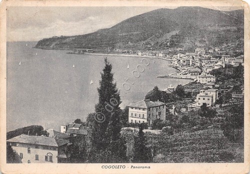 Cartolina Cogoleto Panorama 1954 grinze