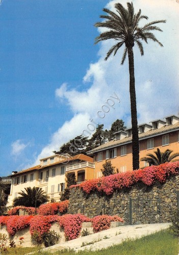 Cartolina Cogoleto Suore Carmelitane di S. Teresa di Torino