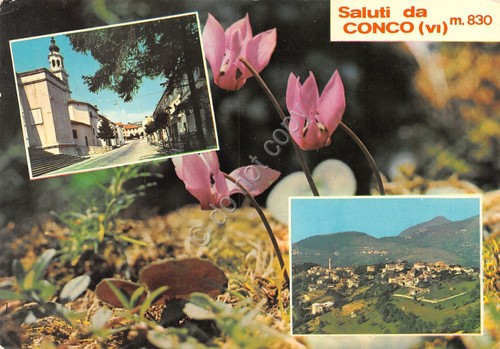 Cartolina Conco vedute 1971 (Vicenza)