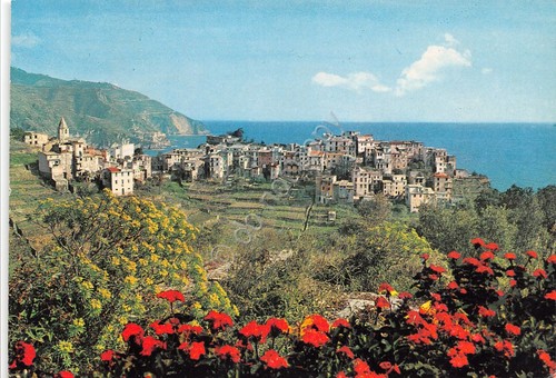 Cartolina Corniglia Cinque Terre panorama 1986