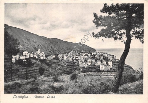 Cartolina Corniglia Cinque Terre Panorama Poesia C. Barbieri al retro