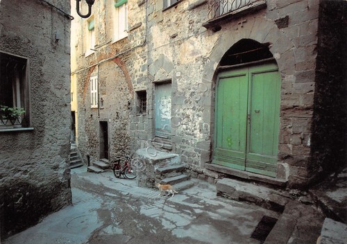Cartolina Corniglia interno paese porta verde