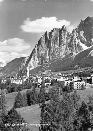 Cartolina Cortina Pomogagnon anni '50 (Belluno)
