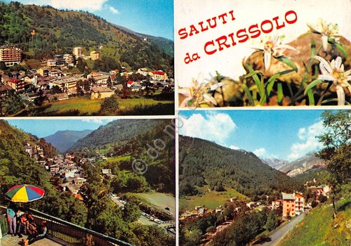 Cartolina Crissolo Valle Po 4 vedute