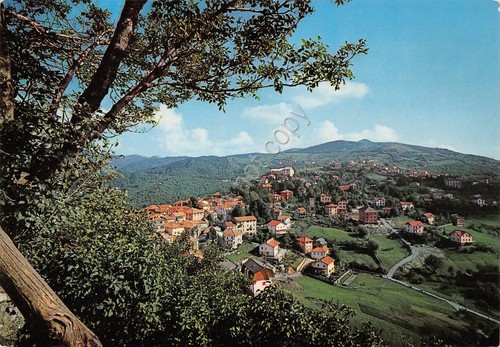 Cartolina Crocefieschi panorama 1976