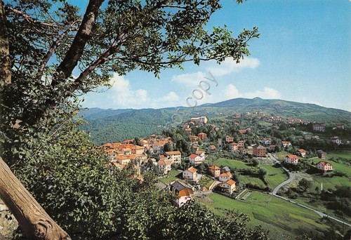 Cartolina Crocefieschi Panorama 1982
