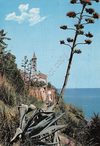 Cartolina Cupramarittima Panorama Chiesa dell'Annunciata 1977 (Ascoli Piceno)