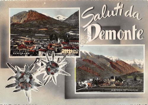 Cartolina Demonte vedute colorata (Cuneo)