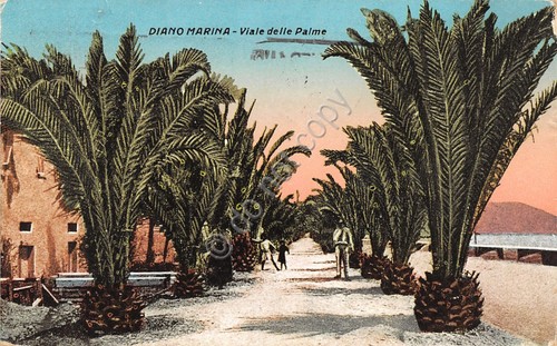 Cartolina Diano Marina Viale delle Palme illustrata 1938 Timbro Lotteria …