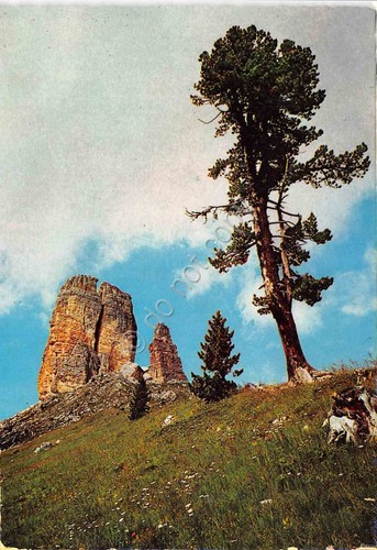 Cartolina Dolomiti Cinque Torri Torre Grande e Romana 1969 (Belluno)