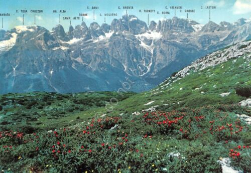 Cartolina Dolomiti d Brenta viste da Paganella nomi cime 1961