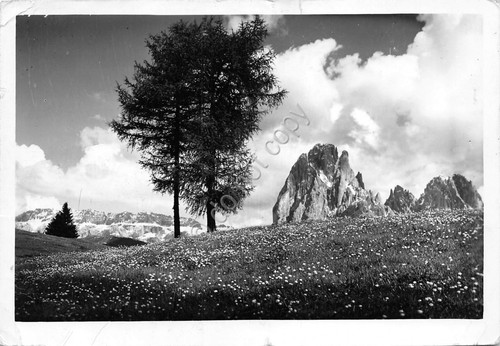 Cartolina Dolomiti Gruppo Sella e Sassolungo Touring Club Italiano 1951 …