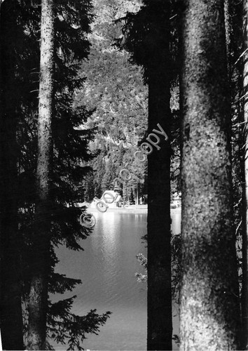 Cartolina Dolomiti Lago di Braies 1961
