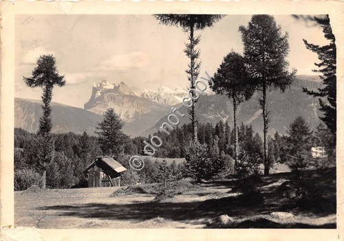 Cartolina Dolomiti Motivo sul Renon verso le Odle (Bolzano)