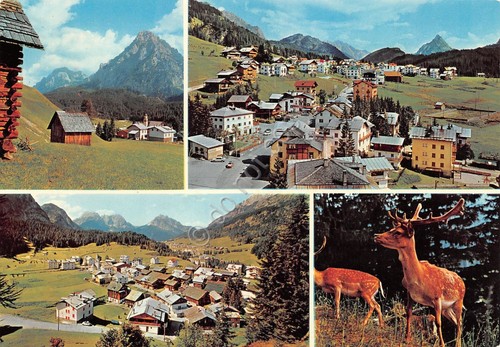 Cartolina Dolomiti Sappada 4 vedute panorama cerbiatti (Belluno)