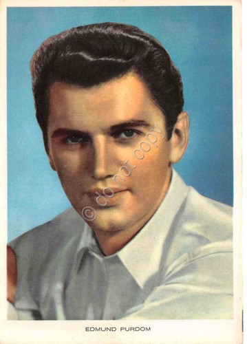 Cartolina Edmund Purdom Attore Doppiatore anni '50