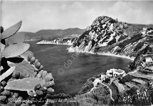 Cartolina Elba - Portoferraio - Spiaggia Prunini - 1962 - …