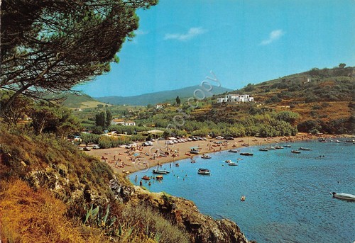 Cartolina Elba Porto Azzurro 1978 vista della baia spiaggia