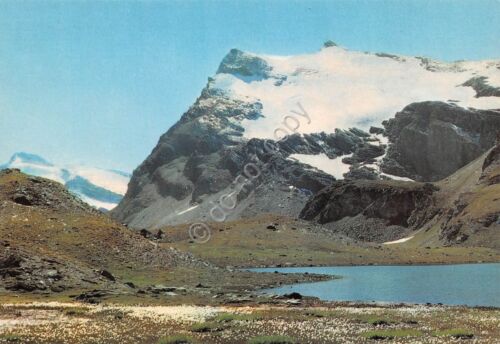 Cartolina Erioforo di Scheuchzer Lago Leytaz al Colle Nivolet (Torino)