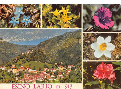 Cartolina Esino Lario panorama e fiori 1979 (Como)