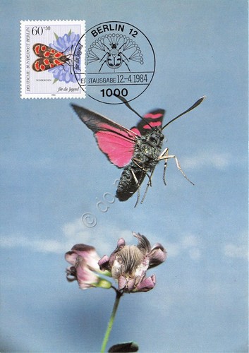 Cartolina Esparsetten Widderchen timbro filatelico 1984