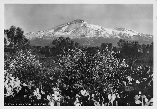 Cartolina Etna Mandorli in fiore