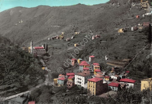 Cartolina Favale di Malvaro panorama 1967