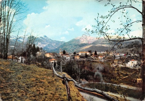 Cartolina Favaro panorama 1970