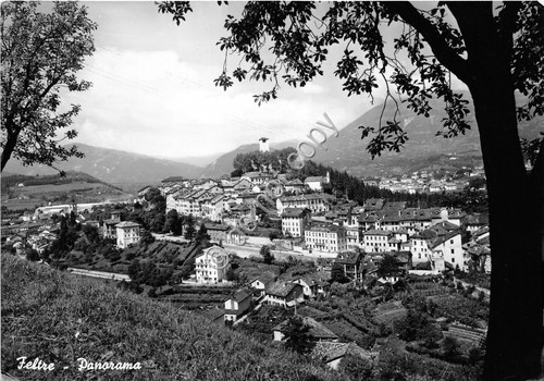 Cartolina Feltre Panorama 1961