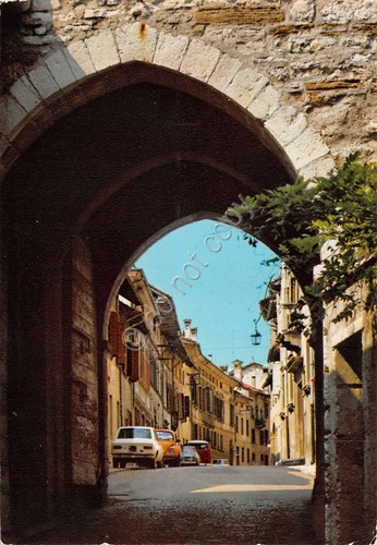 Cartolina Feltre Via Luzzo da Port'Oria auto