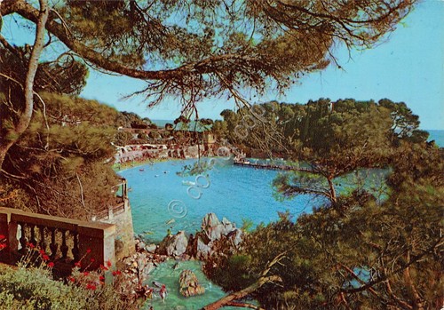 Cartolina Fiascherino di Lerici panorama parziale anni '60 (La Spezia)