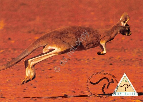 Cartolina Filatelica Australia Kangoo 1994