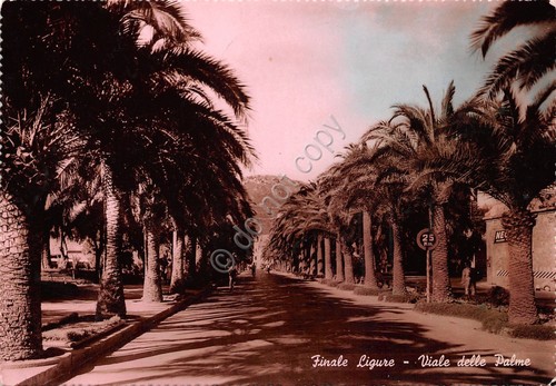 Cartolina Finale Ligure viale delle Palme 1952 colorata