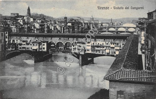 Cartolina Firenze veduta dei Lungarni