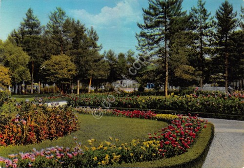 Cartolina Fiuggi Giardino Fonte Nuova 1968 (Frosinone)