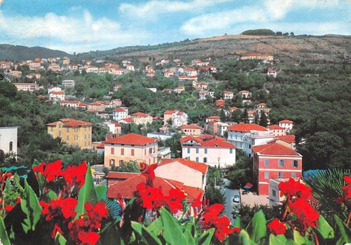Cartolina Fiuggi panorama della città 1964