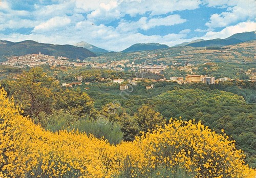 Cartolina Fiuggi panorama paese 1978