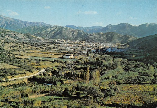 Cartolina Fluminimaggiore panorama paese