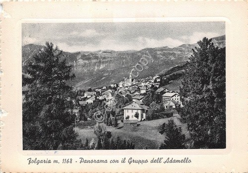 Cartolina Folgaria Panorama con Gruppo Adamello 1958