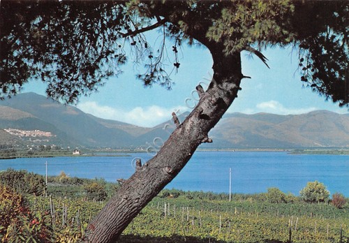 Cartolina Fondi Lago Coltivazioni anni '80