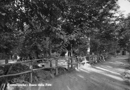 Cartolina Fontanigorda Bosco delle Fate