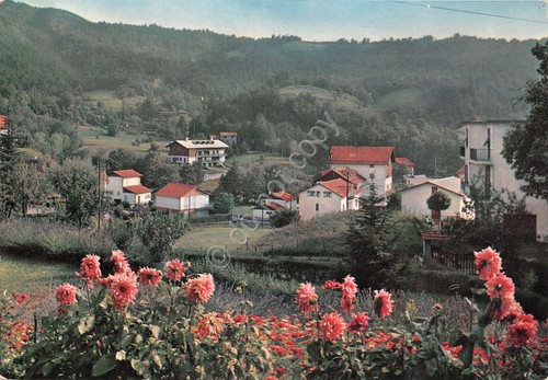 Cartolina Fontanigorda panorama parziale case 1969