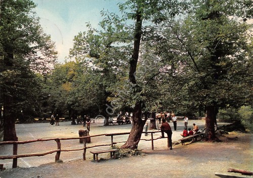 Cartolina Fontaningorda bosco delle fate (Genova)