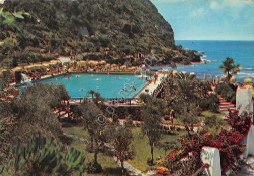 Cartolina Forio D'Ischia Giardini Terme Poseidon Piscina Olimpica 1989 (Napoli)